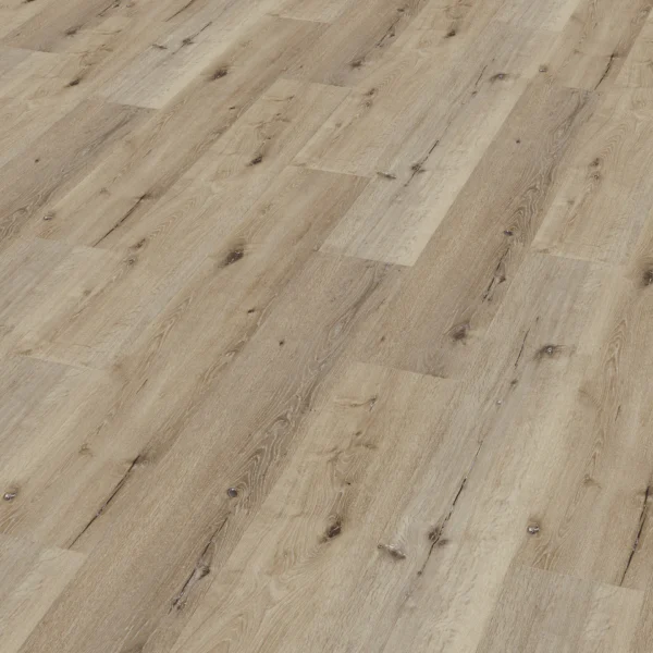 Enia Tambora (Oak Delight) — Oak Delight - Afbeelding 1