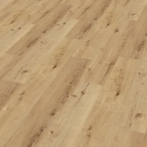 Enia Tambora (Oak Excite) — Oak Excite