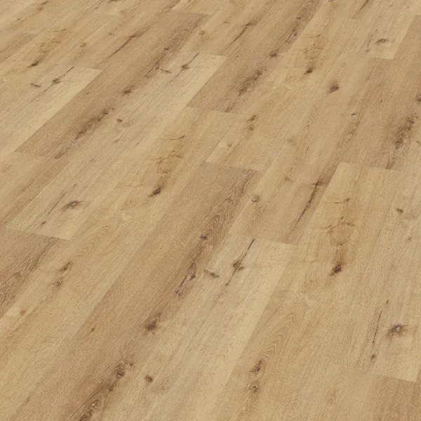 Enia Tambora (Oak Excite) — Oak Excite - Afbeelding 1