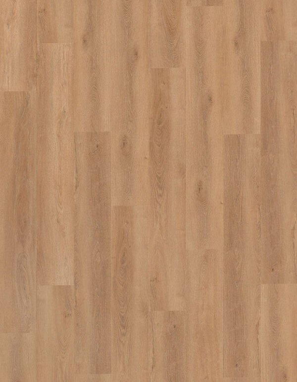 Beautifloor President — Carnot - Afbeelding 1