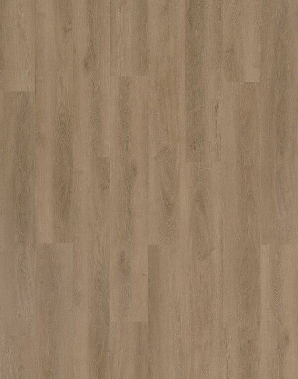Beautifloor President — Loubet - Afbeelding 1