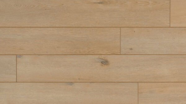 Coretec Authentics Woods — Champlain - Afbeelding 1