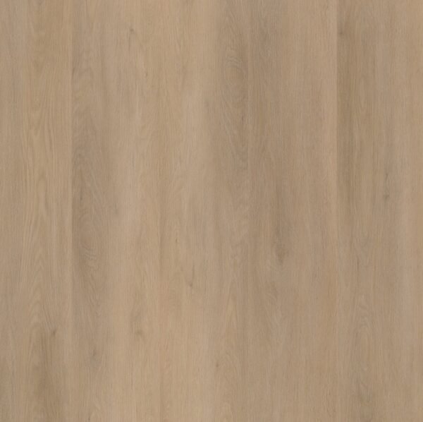 Ambiant Sentima klik (Beige) — Beige - Afbeelding 1