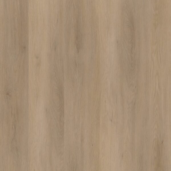Ambiant Sentima klik (Natural Oak) — Natural Oak - Afbeelding 1