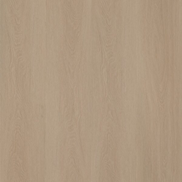 Ambiant Estino Silent Rigid Click (Smoky) — Smoky - Afbeelding 1