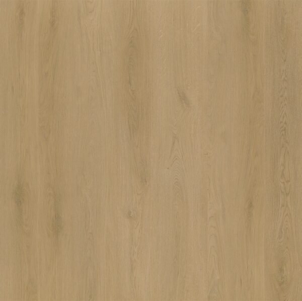 Ambiant Navaro (Light Oak) — Light Oak - Afbeelding 1