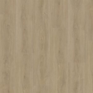 Ambiant Robusto (Beige) — Beige