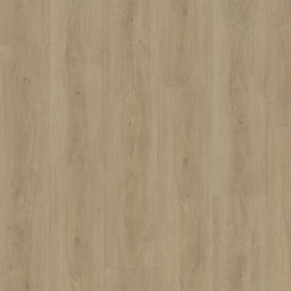 Ambiant Robusto (Beige) — Beige - Afbeelding 1