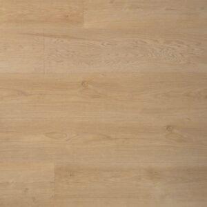 Douwes Dekker Ambitieus Riante Plank Verlijmd (Boterkoek) — Riante Plank Boterkoek