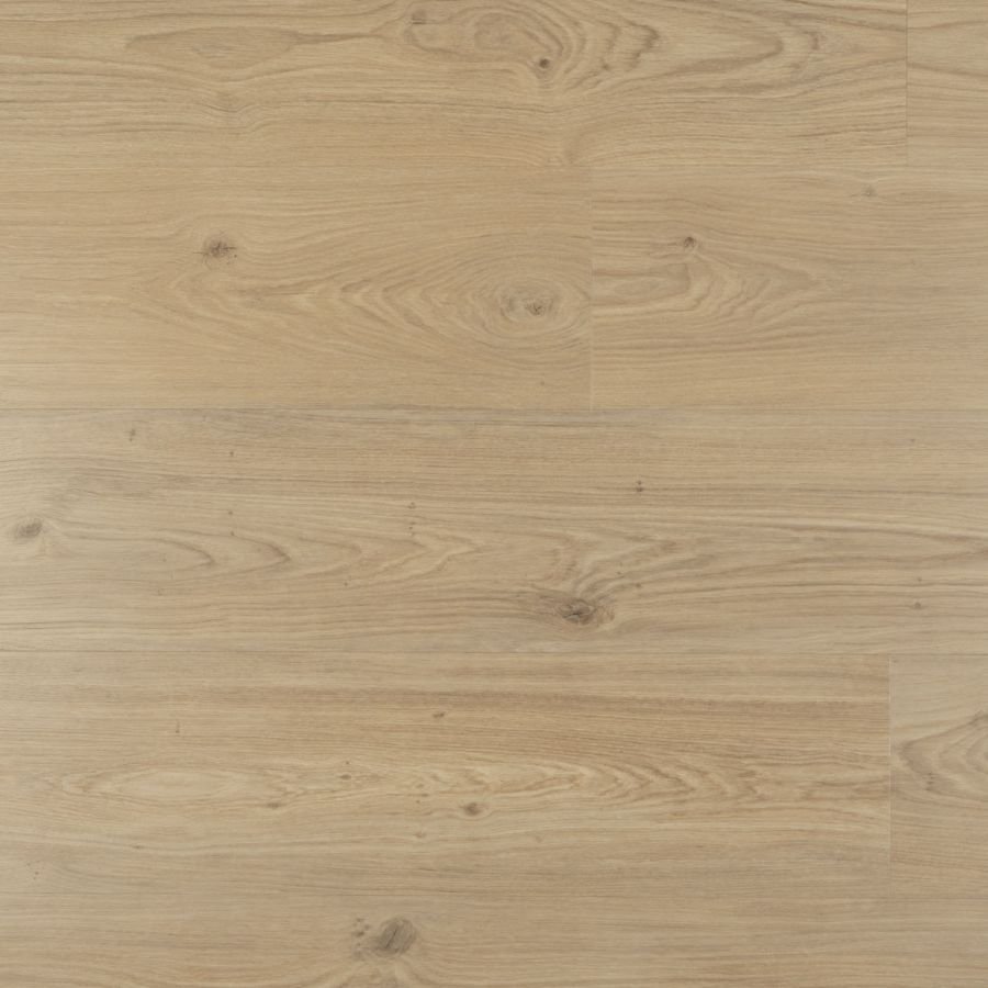 Douwes-Dekker-Ambitieus-Riante-Plank-Verlijmd-(Panna-Cotta) van Douwes-Dekker in de kleur Panna-Cotta - PVC vloeren