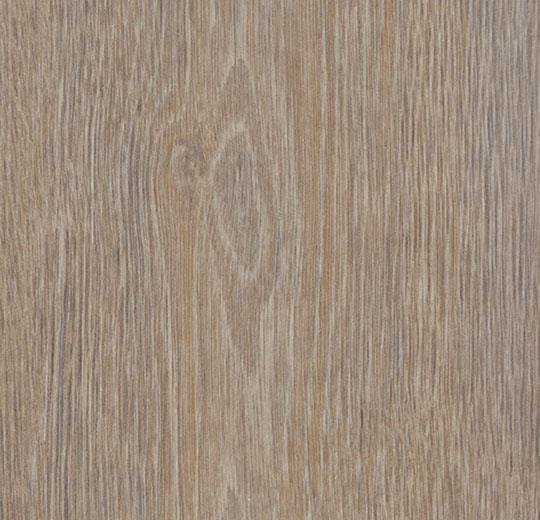 Forbo-Allura-Wood-Dryback-0.70-(2.5mm) van Forbo in de kleur Steamed-Oak - PVC vloeren